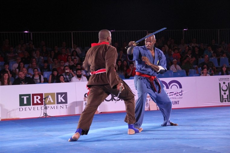 Martial Arts Festival